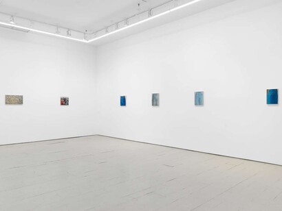 Jennifer J. Lee, The falls, exhibition view. Courtesy of Klaus von Nichtssagend Gallery