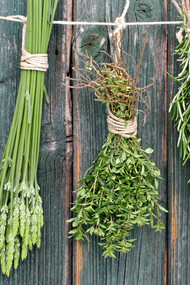 Erbe aromatiche per la cucina e la casa