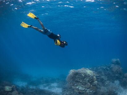 Snorkeling in Laucala