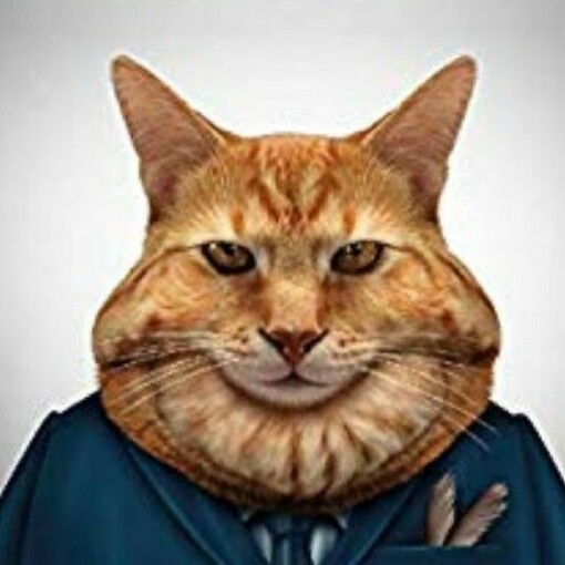 Le straordinarie cognizioni di un gatto morente