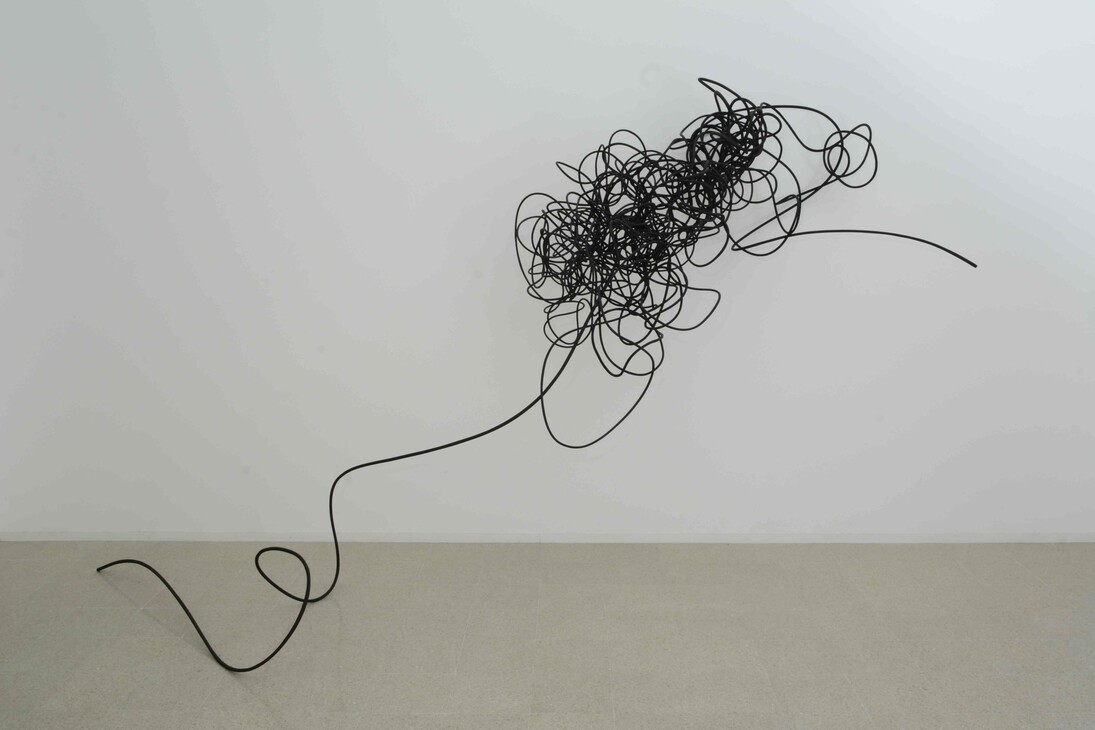 Almagno, Col guinzaglio tra le dita, 2015, wood