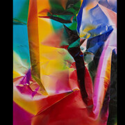 Ellen Carey. Courtesy of Amon Carter Museum of American Art