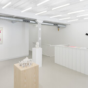 Ana Laura Aláez, Snowfall with saliva, exhibition view. Courtesy of the Ryder Projects