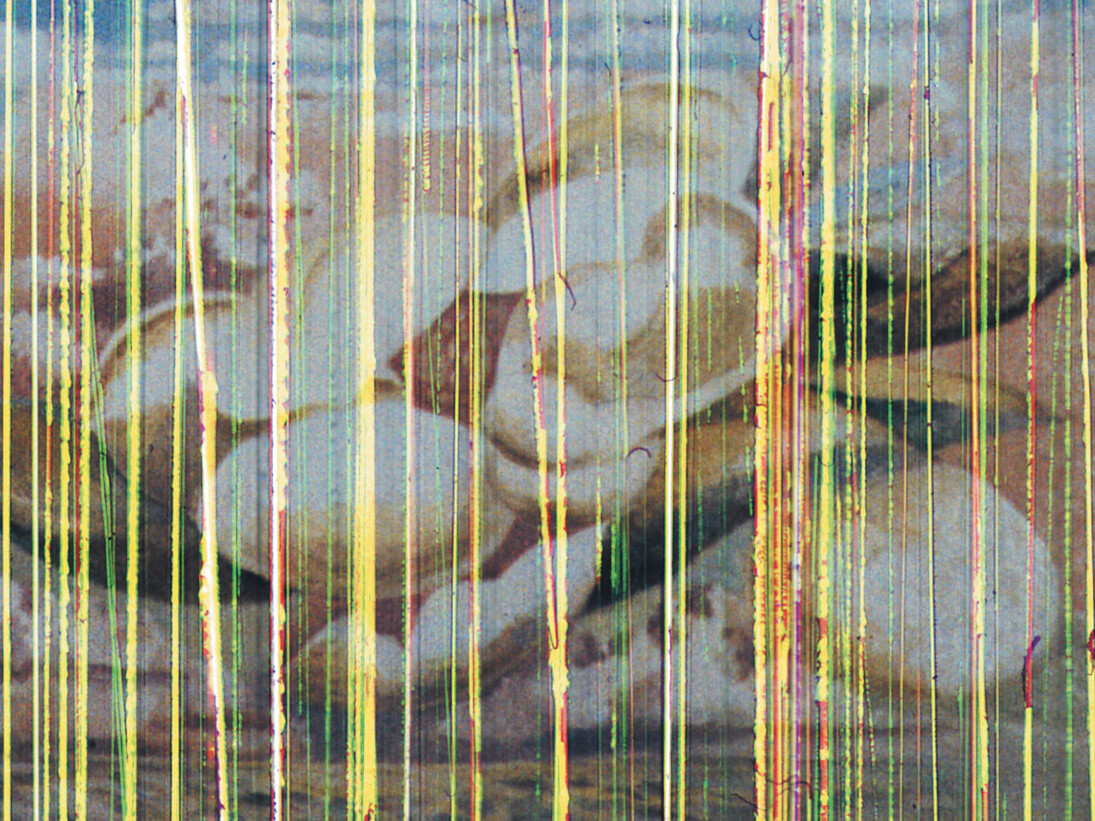 NASHASHIBI-SKAER, Our Magnolia, 2009, © Nashashibi-Skaer, collection frac île-de-france