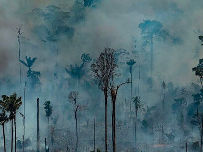 Amazonie en feu. Tandis qu’un bloc de députés européens a appelé au boycott des produits brésiliens, les exécutifs ont défendu leur présence dans le pays sud-américain © Victor Moriyama