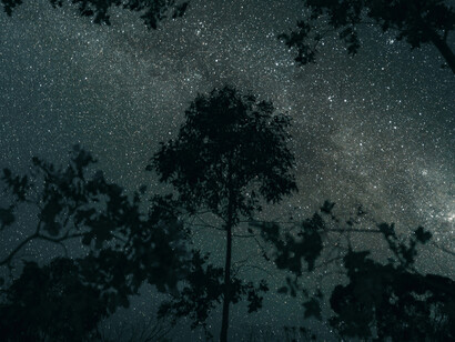 Cielo estrellado por la noche