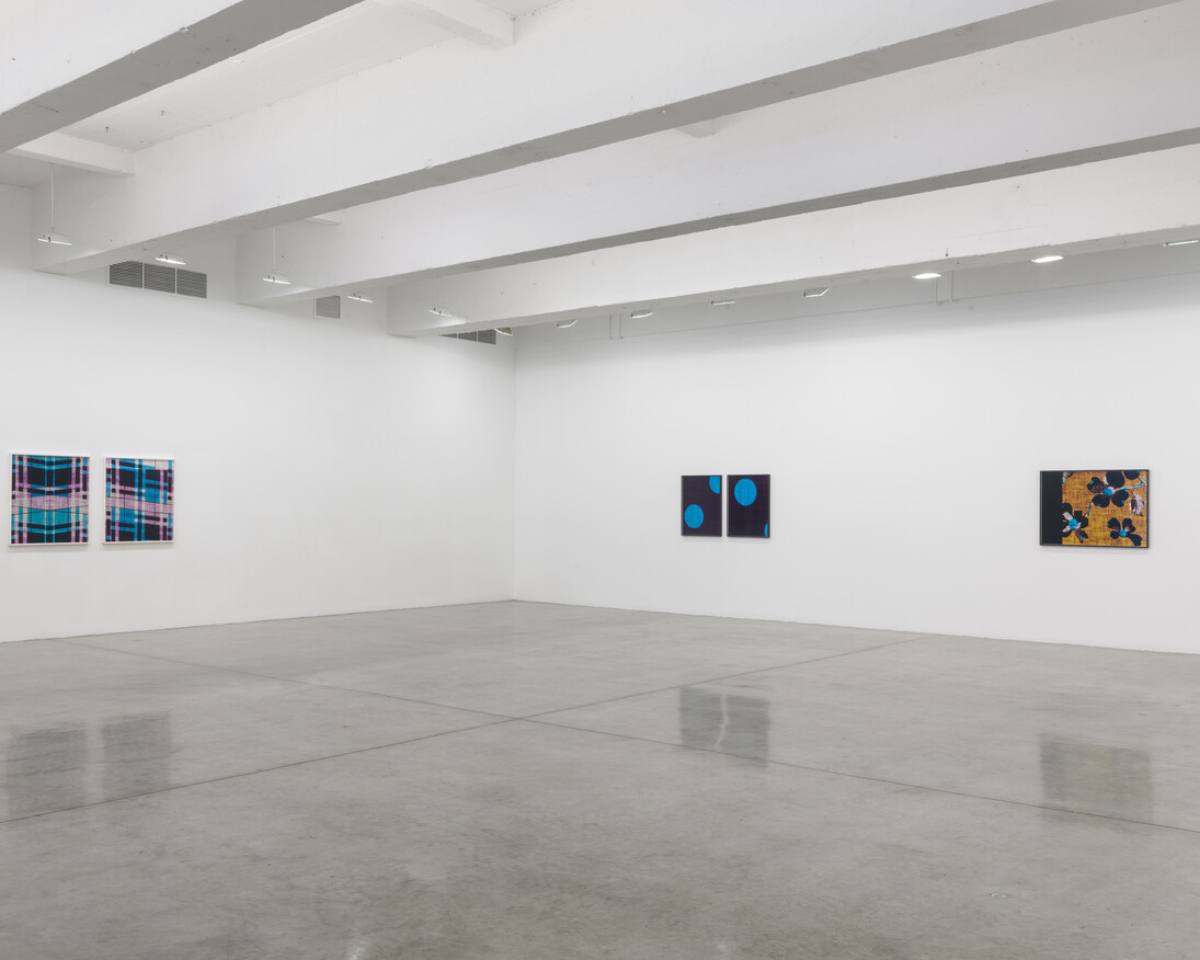 Lisa Oppenheim, Installation view of A Durable Web., Tanya Bonakdar Gallery, New York, September 7 – October 21, 2017.
Photo: Maris Hutchinson. Courtesy of the artist and Tanya Bonakdar Gallery, New York
