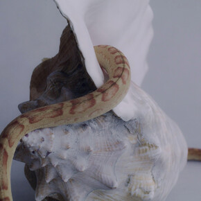 Katherinne Fiedler, En algún lugar / Somewhere in, 2021. Courtesy of Galeria Nave