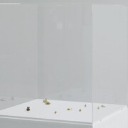 Beehave. Courtesy of Kunsthaus Baselland