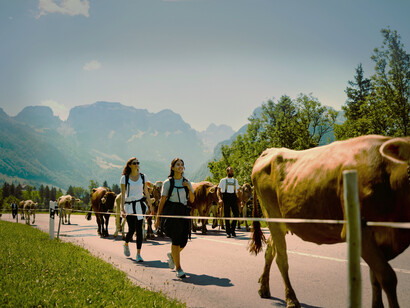 Typically SwissHotels_Appenzell_09A1282_HiRes_RGB