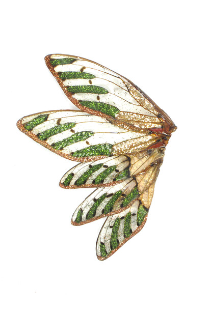 Märta Mattsson, Wing