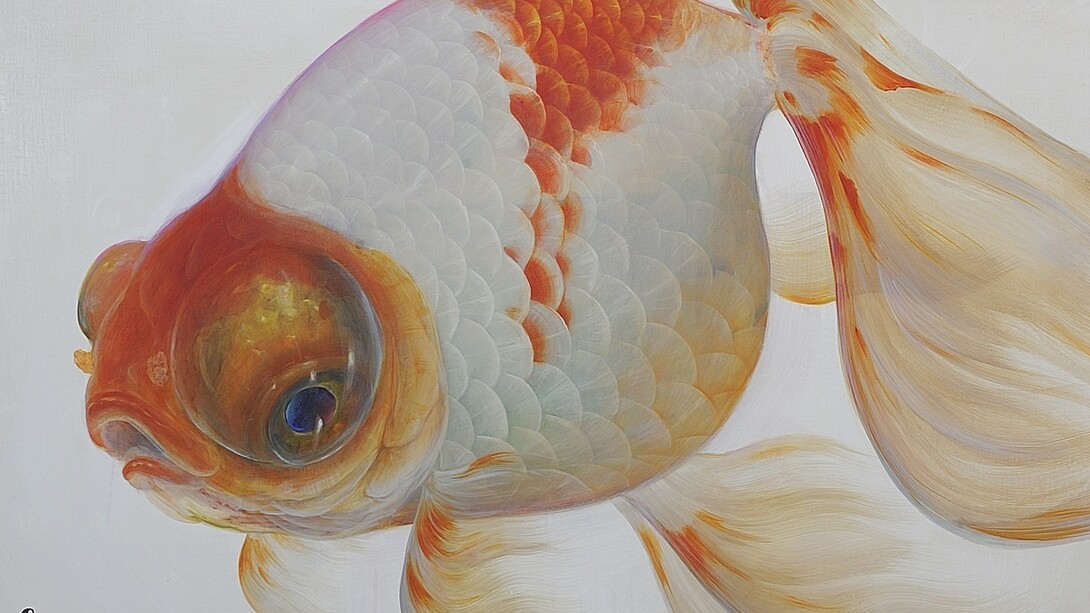 Riusuke Fukahori, Maboroshi