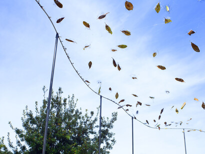 Airò, Surplace, photo by Camilla Borghese