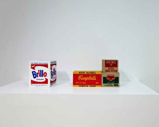 Some Aesthetic Decisions, Exhibition view. Courtesy of NSU Art Museum