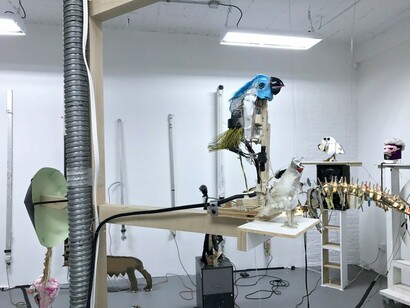 Dan Bainbridge, Exhibition view. Courtesy of ART 3 gallery