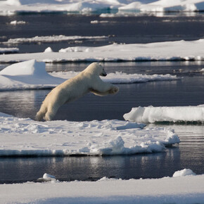 Going with the Floe, 2016 Svalbard, Photography-Archival pigment print on Baryta paper, 71x107cm. Courtesy of Alisan Fine Arts