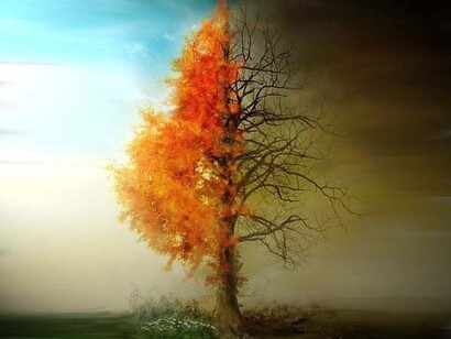 Tra la vita e la morte