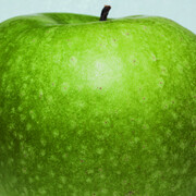 LEBENSMITTEL. Courtesy of MOCAK