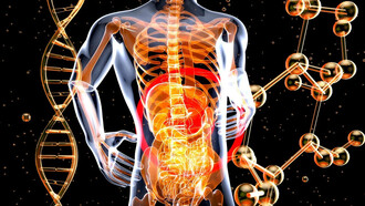 L'asse cervello-intestino (CIA) svolge un ruolo fondamentale nella comprensione della sindrome dell'intestino irritabile (IBS), un disturbo gastrointestinale molto sgradevole e doloroso, che colpisce milioni di persone al mondo