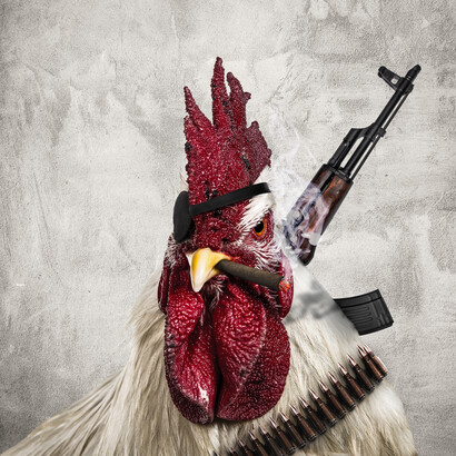 Emre Yusufi, Portrait Guerilla Rooster, Mixmedia Akrilik aluminyum forex sıvama Diasec Baskı