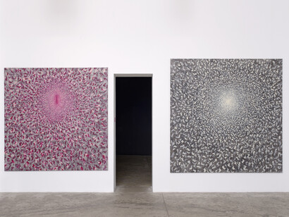 Exhibition view, Peybak “Abrakan (naissance)” Galerie GP & N Vallois, Paris, 29.05.2015 – 11.07.2015, Courtesy Galerie GP & N Vallois, Paris, Photo : Aurélien Mole
