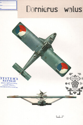 Jean-Yves Jouannais, Dornelius Wallus (extrait de « Histoire naturelle »), 2014, Technique mixte sur papier, 5 éléments ; chacun 42 x 29,7 cm  