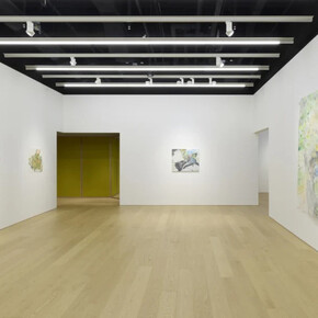 Yuko Someya, Soil and stars, exhibition view. Courtesy of Tomio Koyama Gallery