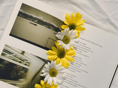 Petals resting in journals, echoing the soft power of art to reveal and heal 