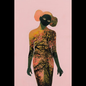  Lisa Wright - Song of Starlings