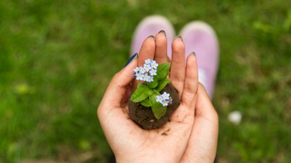 Zu einer nachhaltigeren Welt