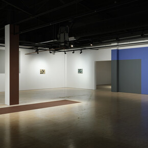 Oliver Perkins, A contiguous body, exhibition view. Courtesy of Whangārei Art Museum