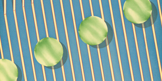 Degrees of Abstraction. Courtesy of Crown Point Press