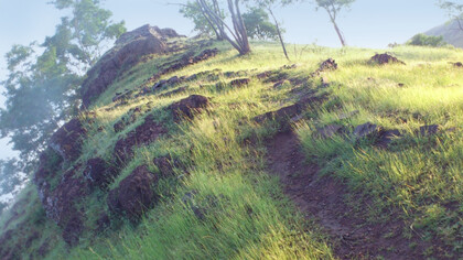 The path to the top of Seclusion Hill near Meherazad, India