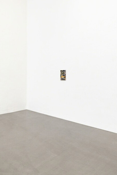 Tom Anholt. Courtesy of Galerie Eigen+Art