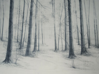 VICARI MARIKA, Tempo degli alberi, 2015, Grafite su tavola, 120x180 cm