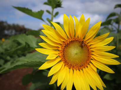 True perfection is when we are able to be happy and joyful with the small moments of success and celebration we have on a daily basis