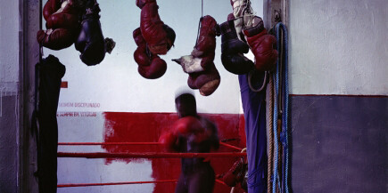 Miguel Rio Branco. Courtesy of Christopher Grimes Gallery