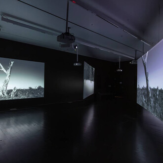 Deborah Jack, The haunting of estuaries…an (after)math of confluence, exinition view. Courtesy of MCA Denver