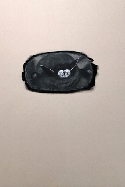 William Binnie, White Nose, 2017. Courtesy of LMAKgallery