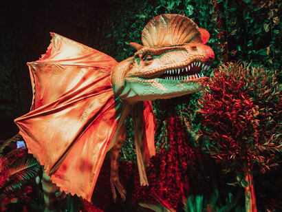 Dinos alive, an immersive experience. Courtesy of Fever