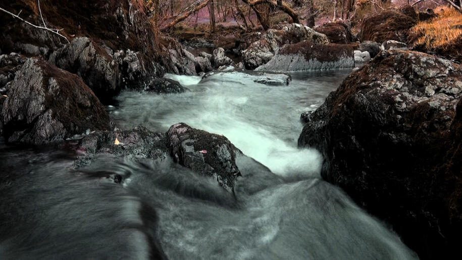 David Ian Bickley, Torrent
