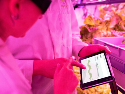 Scientist in a lab analyzing sustainable food innovations for eco-friendly production