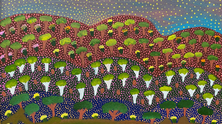 Debbie Beasley, Bush medicine – Landscape (detail). Courtesy of Japingka Gallery