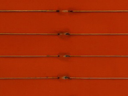 Bernard Aubertin. Courtesy of ABC