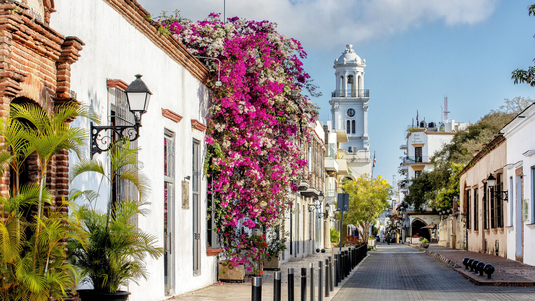 Bursting with life and colour, the streets of Santo Domingo, in the Dominican Republic, bloom with the vibrant hues of tropical flowers, creating a picturesque backdrop for exploration, amidst the cobblestone pathways, nature intertwines with history, inviting travellers to immerse themselves in the beauty of the Caribbean