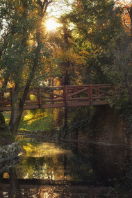 Parque Retiro o Parque del Buen Retiro, 2023, el gran pulmón de Madrid, España
