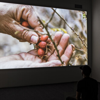 Cecilia Vicuña. Courtesy of Henry Art Gallery