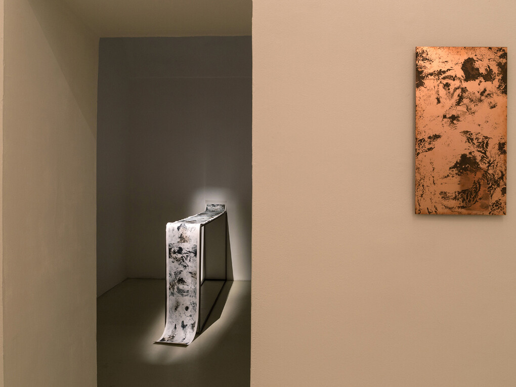 Francesca Grilli, Anger, 2015, exhibition view