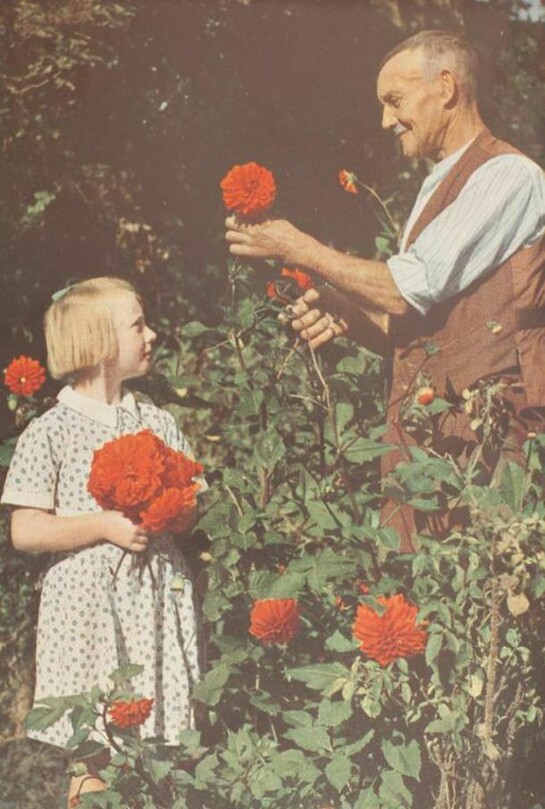 John Hinde, From British Circus Life, 1948, © National Media Museum, Courtesy of the National Media Museum