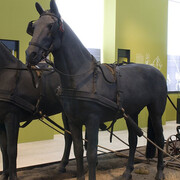 The Horse. Courtesy of Museum and Library of Hungarian Agriculture